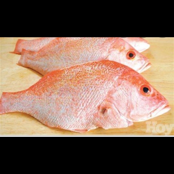 Meet your Posher, Maura - Picture 1 of 1